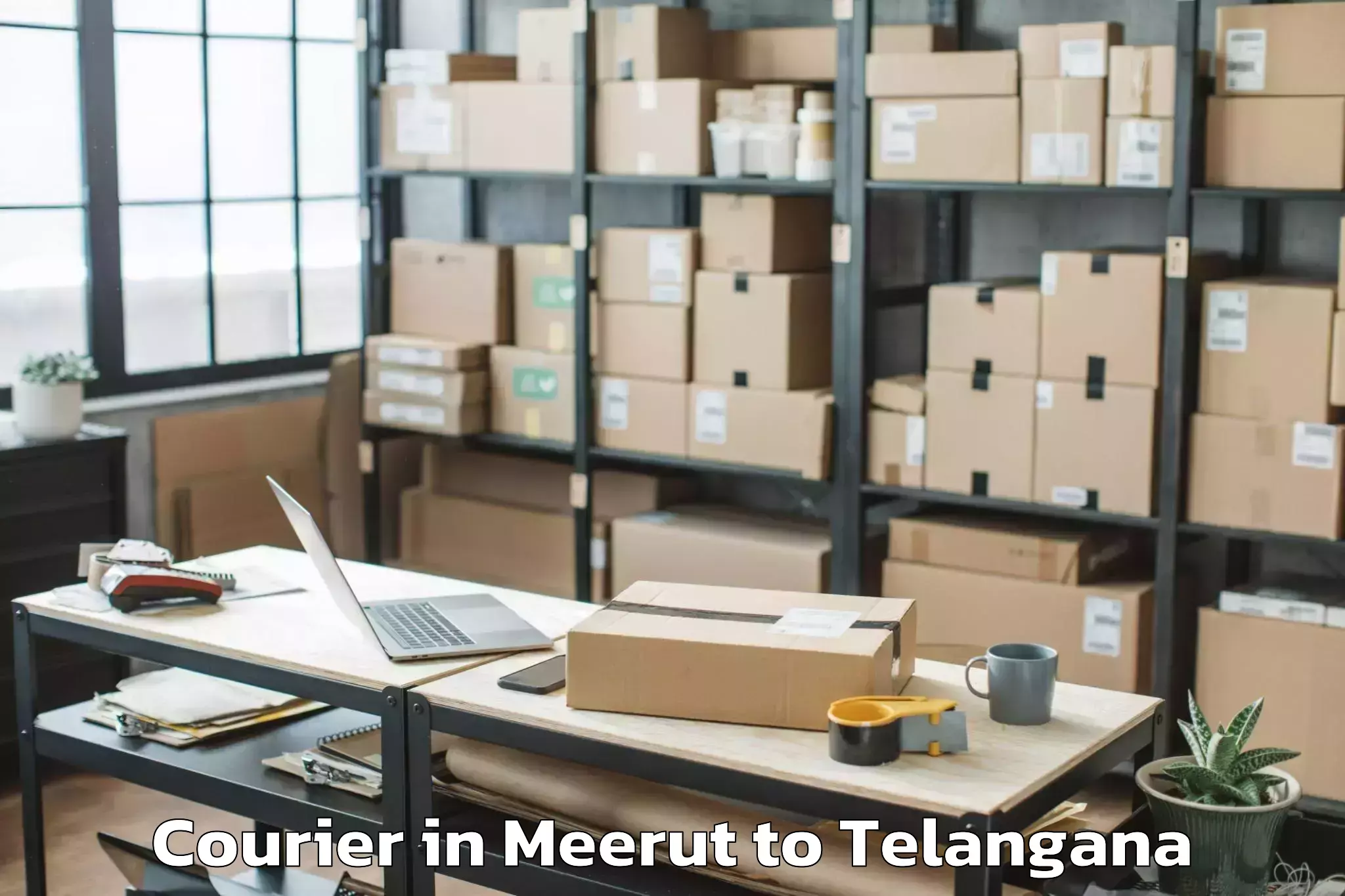 Book Meerut to Lingampet Courier Online